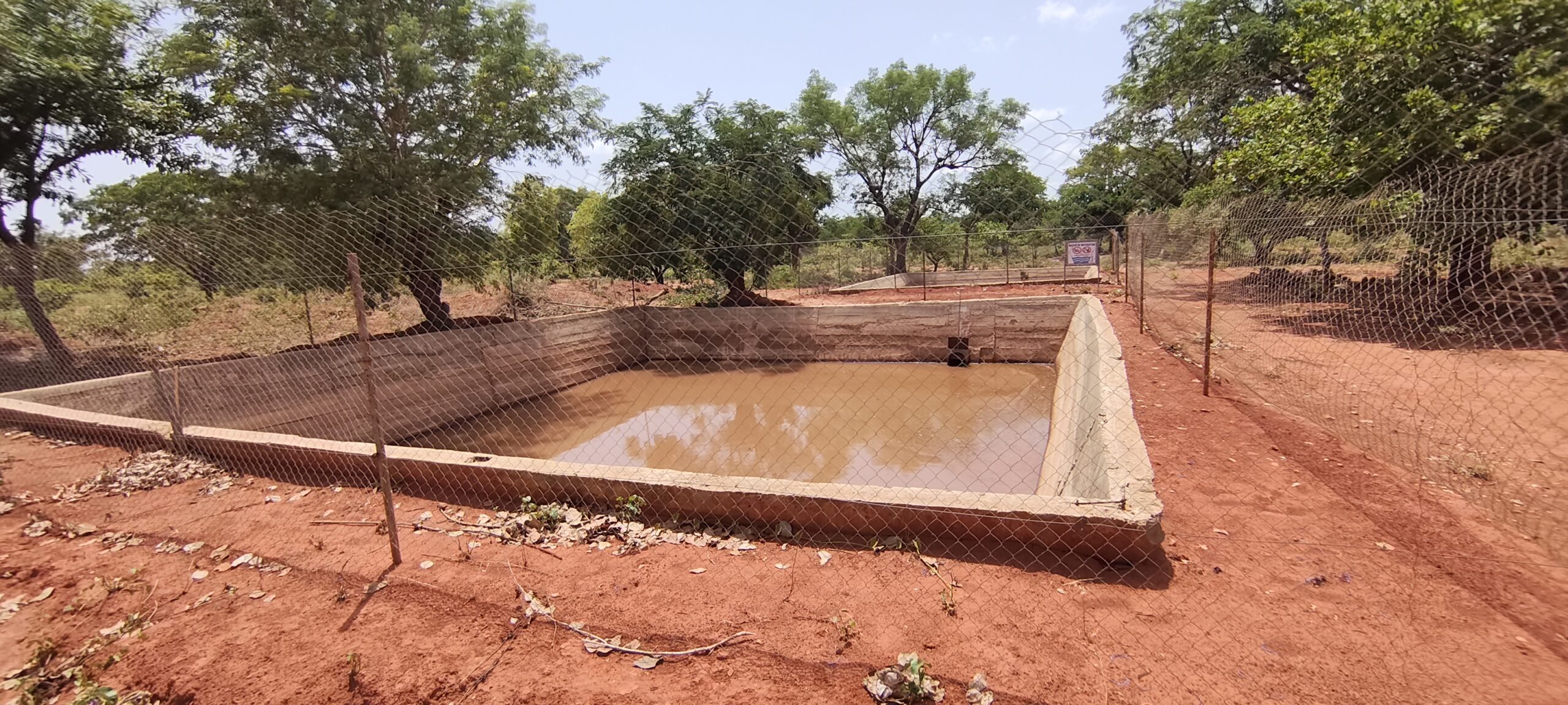 Bassin de maturation – Babali
